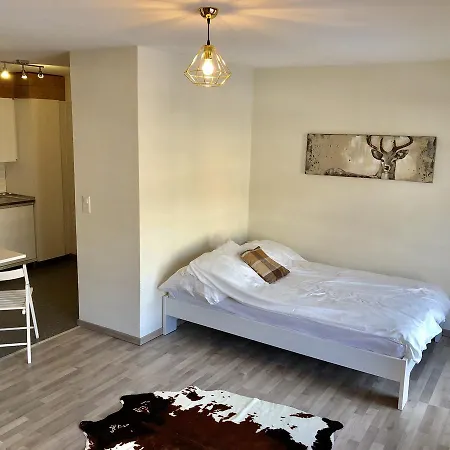 Cosy Refurbished Studio Apartment *
