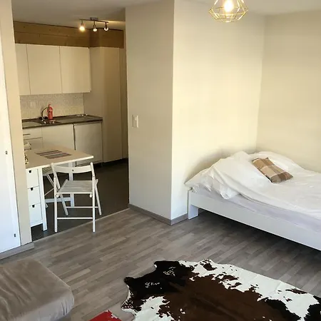 Cosy Refurbished Studio